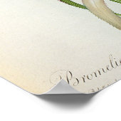 Bromelia Ananas uit "Les Bromeliacees" Poster (Hoek)