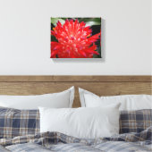 Bromelia Bloem Canvas Afdruk (Insitu (Slaapkamer))