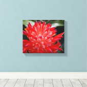 Bromelia Bloem Canvas Afdruk (Insitu (Houten vloer))
