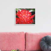 Bromelia Bloem Canvas Afdruk (Insitu (Woonkamer))