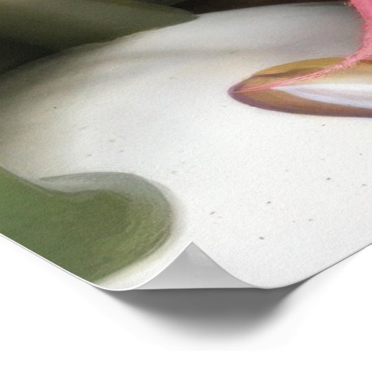 Bromelia Bloem Poster (Hoek)