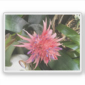Bromelia Bloem Sticker (Voorkant)