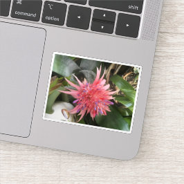 Bromelia Bloem Sticker