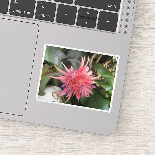 Bromelia Bloem Sticker (Detail)