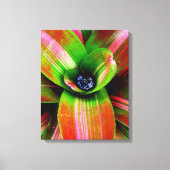 Bromelia Canvas Afdruk (Voorkant)