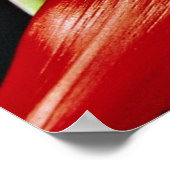 Bromeliabloemen Poster (Hoek)