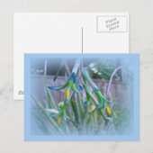 Bromeliad Blossom op blauw Briefkaart (Voorkant / Achterkant)