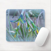 Bromeliad Blossom op blauw Muismat (Met muis)