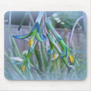 Bromeliad Blossom op blauw Muismat