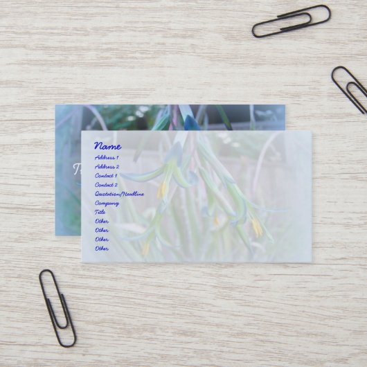 Bromeliad Blossom op blauw Visitekaartje (Voorkant / Achterkant in situ)