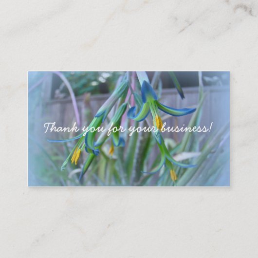 Bromeliad Blossom op blauw Visitekaartje (Achterkant)