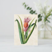 Bromeliad  Botanisch Briefkaart (Staand voorkant)