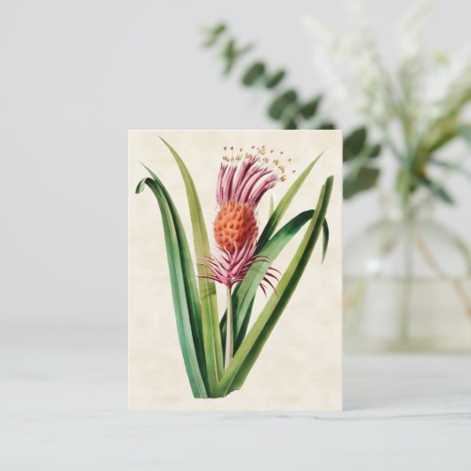 Bromeliad  Botanisch Briefkaart (Staand voorkant)