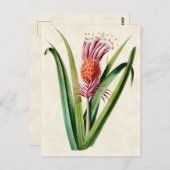 Bromeliad  Botanisch Briefkaart (Voorkant / Achterkant)