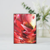 Bromeliad Briefkaart (Staand voorkant)