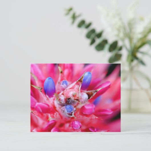 Bromeliad Briefkaart (Staand voorkant)