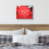 Bromeliad Canvas Afdruk (Insitu (Slaapkamer))