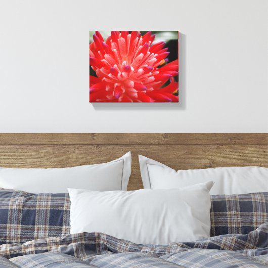 Bromeliad Canvas Afdruk (Insitu (Slaapkamer))