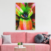 Bromeliad Canvas Afdruk (Insitu (Woonkamer))