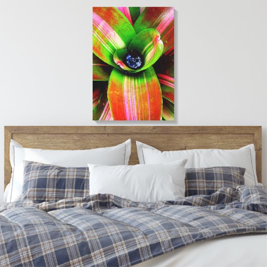 Bromeliad Canvas Afdruk (Insitu (Slaapkamer))