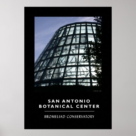 Bromeliad Conservatory Poster (Voorkant)