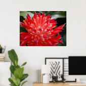 Bromeliad Flower Poster (Thuiskantoor)