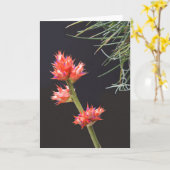 Bromeliad Flowers en Stem Kaart (Gele Bloem)