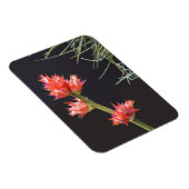 Bromeliad Flowers en Stem Magneet (Rechterzijde)