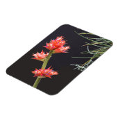 Bromeliad Flowers en Stem Magneet (Linkerzijde)