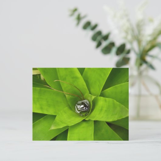 Bromeliad Green Botanische fotografie Briefkaart (Staand voorkant)