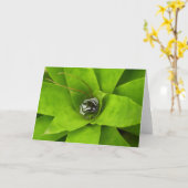 Bromeliad Green Botanische fotografie Kaart (Gele Bloem)