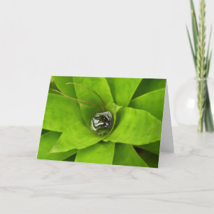 Bromeliad Green Botanische fotografie Kaart