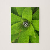 Bromeliad Green Botanische fotografie Legpuzzel (Verticaal)
