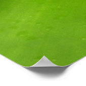 Bromeliad Green Botanische fotografie Poster (Hoek)