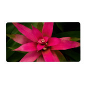 Bromeliad in Bloom Etiket (Voorkant)