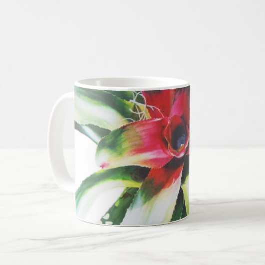 Bromeliad Koffiemok (Voorkant links)