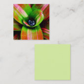 Bromeliad-macrofotografie Vierkante Visitekaartje (Voorkant / Achterkant)