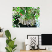Bromeliad op Mangrove, Florida Everglades Poster (Thuiskantoor)