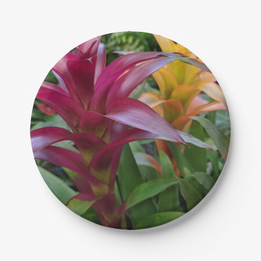 Bromeliad Paper Bord (Voorkant)