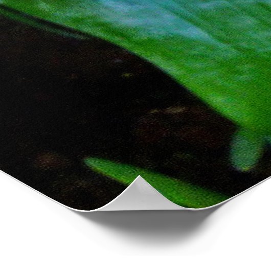 Bromeliad Poster (Hoek)