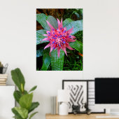 Bromeliad Poster (Thuiskantoor)