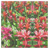Bromeliades Stof (Close Up)