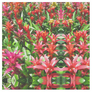 Bromeliades Stof