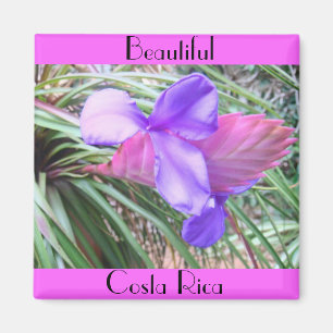 Bromeliades van Costa Rica Magneet