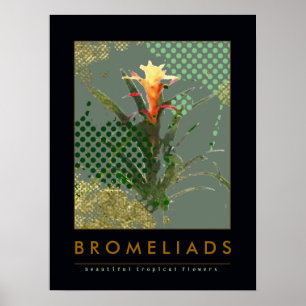 bromeliads kunstdecor suggestie poster