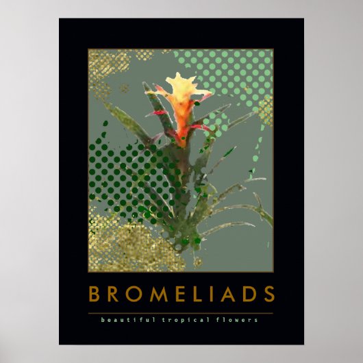 bromeliads kunstdecor suggestie poster (Voorkant)