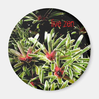 Bromelia's Live Zen Magnet