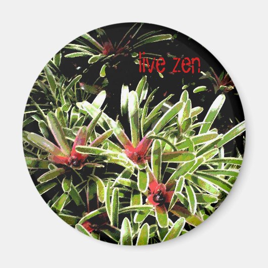 Bromelia's Live Zen Magnet (Voorkant)