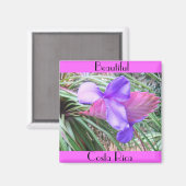 Bromelia's van Costa Rica Magneet (Voorkant / Achterkant)