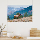 Brommende edelhertenstier (Cervus Elephus) Poster (Keuken)